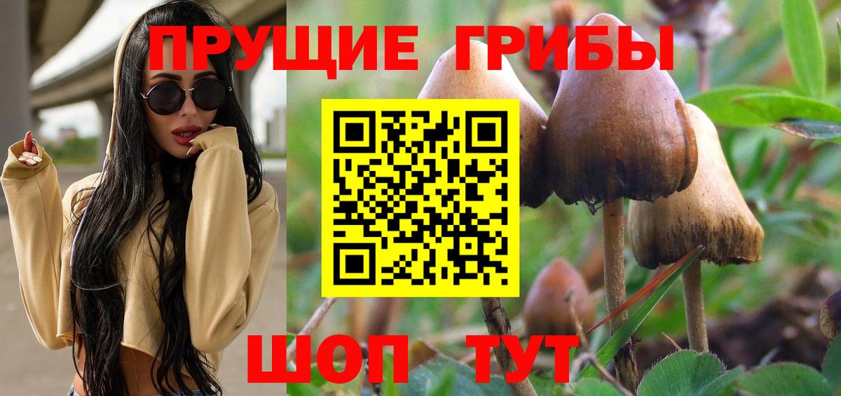 Майский  Галлюциногенные грибы прущие грибы  Вход с VPN  Псилоцибиновые грибы GOLDEN TEACHER 