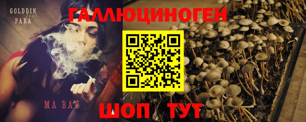 МАРИХУАНА Майский